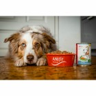 Hond Natvoer Falscher Hase 400g 6 Stuk -3- Anifit