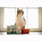 Kat Natvoer Nautilus Ragout 400g 6 Stuk -3- Anifit