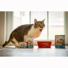 Kat Natvoer Eismeer Terrine 200g 6 Stuk -3- Anifit