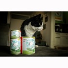 Kat Natvoer Puterichs Delight 400g 6 Stuk -3- Anifit