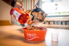 Hond Kat B.A.R.F. Voedingssupplementen Zalmolie 500 ml 1 Stuk -4- Anifit