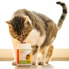 Hond Kat B.A.R.F. Snacks Voedingssupplementen Kippensoep 80g 1 Stuk -2- Anifit